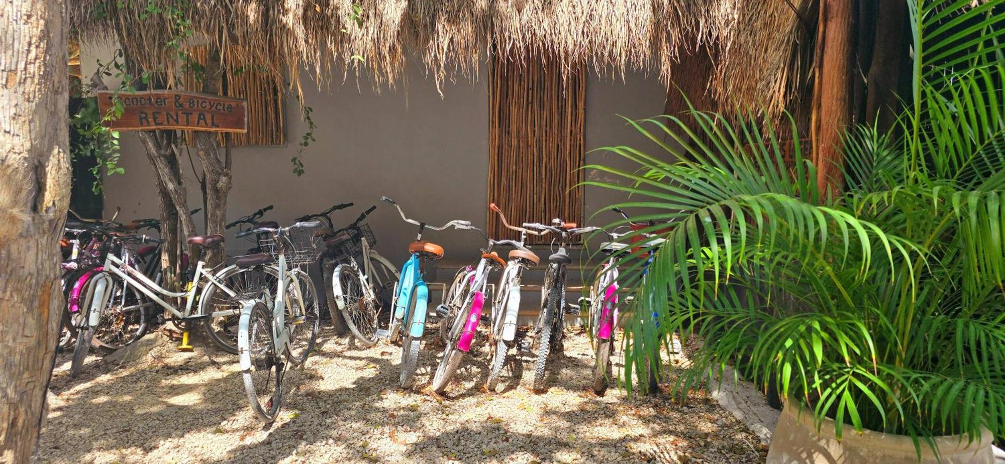 Hotel Kin Tulum Jungle Deluxe Extérieur photo